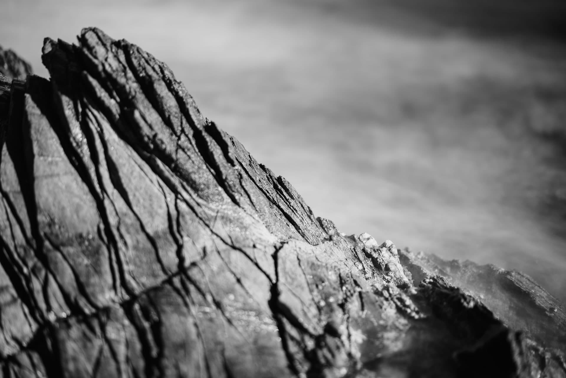 12 - DSC01445
